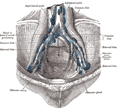 Right Para-aortic Sentinel Lymph Dissection Video