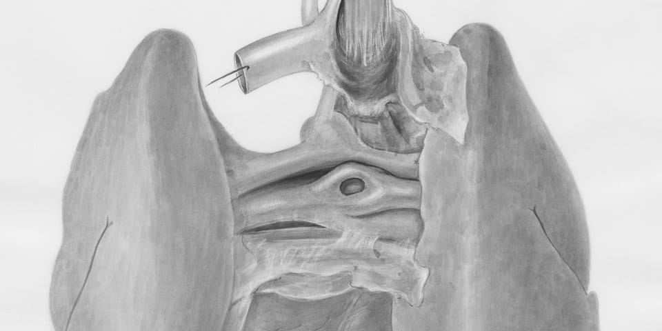 Publications Update # 134