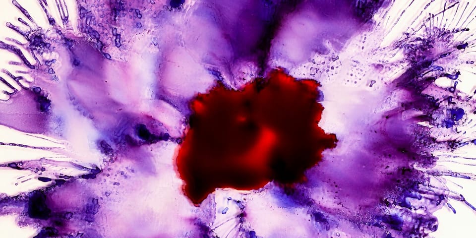 Publications Update # 135